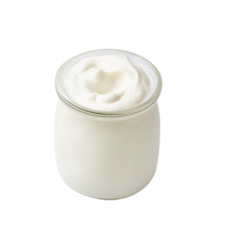 Yogurt Artesanal