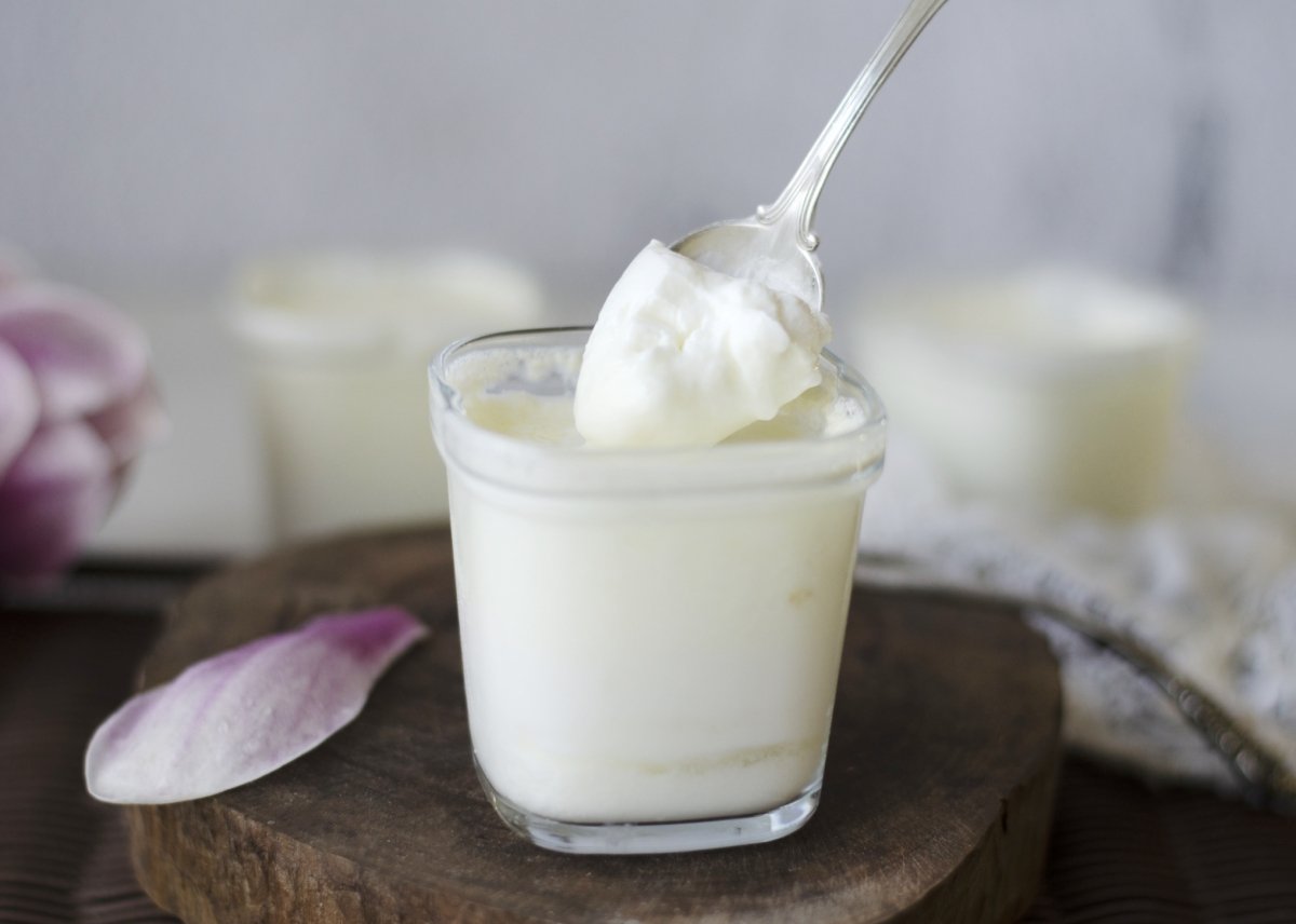 Yogurt Natural