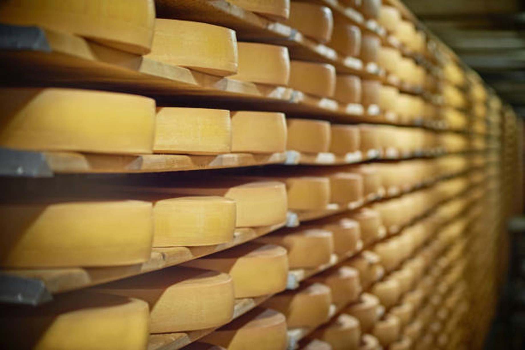 Queso